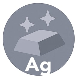 Silver Icon